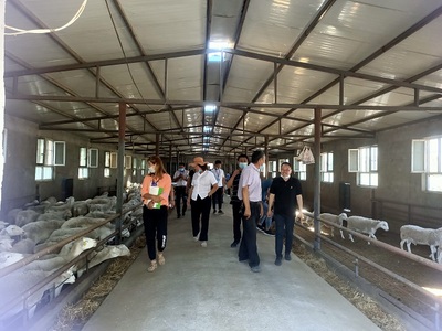 轮台县科协联合畜牧兽医局组织村干部参观学习科学养殖经验